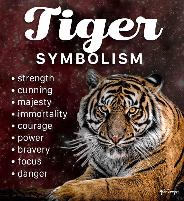What does tigers spiritual meaning say about fear?