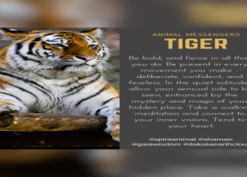 What does tigers spiritual meaning say about fear?