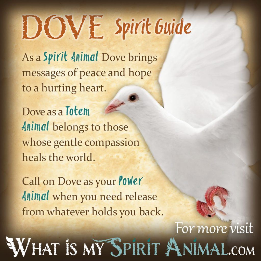 Dove Totem: Discover Its Spiritual Meaning and Significance Now