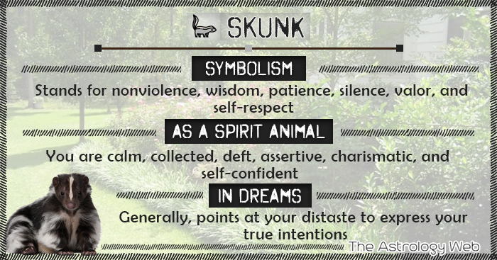 What is the seeing a skunk spiritual meaning? Discover the important messages this animal might have for you.