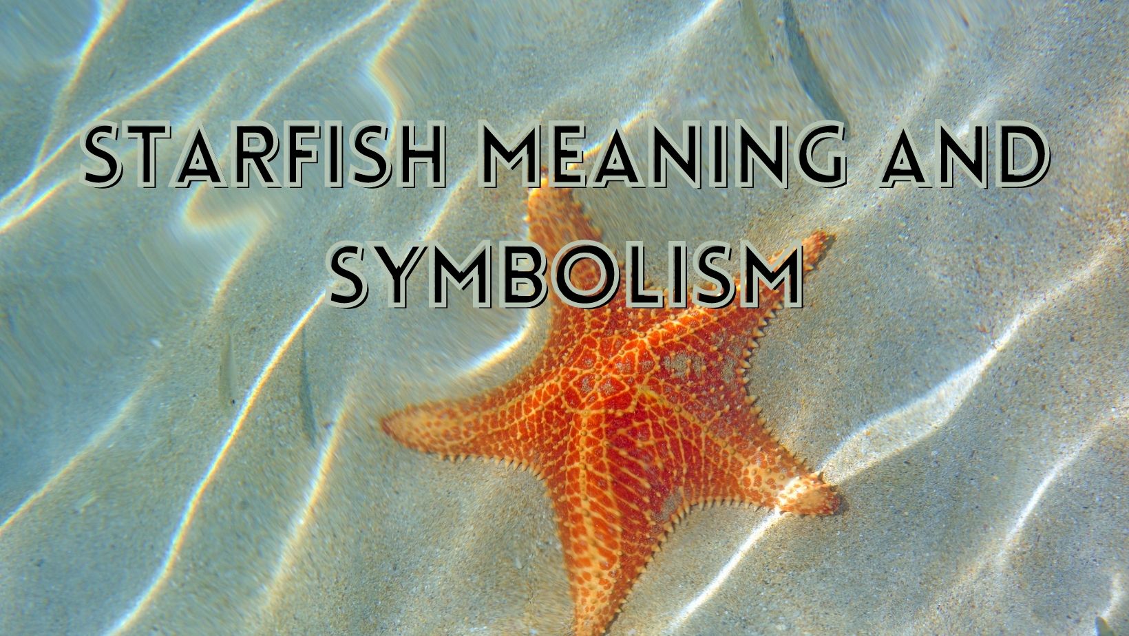 The Spiritual Meaning of Starfish Symbolism Explained