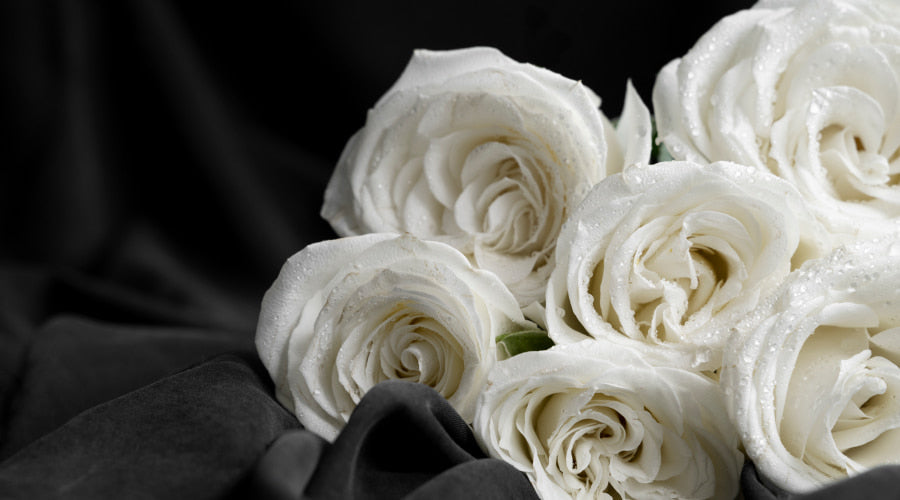 Why explore the significance of white flowers? Find out how they convey powerful emotions without words.