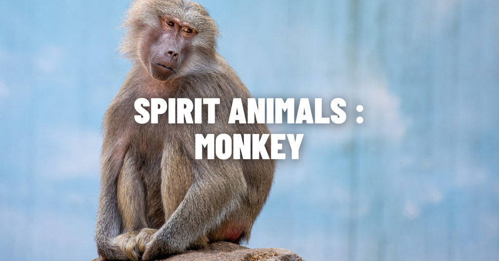 Discover the Power of the Monkey Animal Totem: Meaning and Guidance