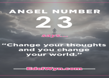 Why You Keep Seeing 236 Angel Number Everywhere?