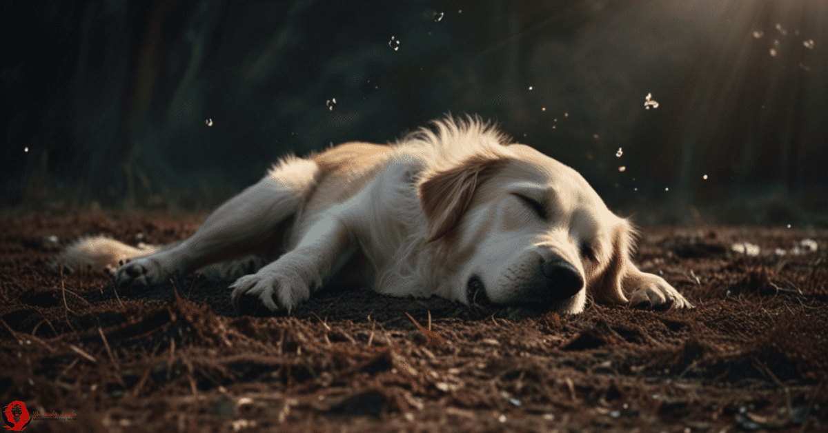 Decode Your Dream of Dog Dying: Expert Analysis Here!
